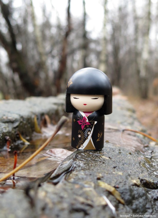 Kimmidoll и Little Apple Dolls (фото 4)