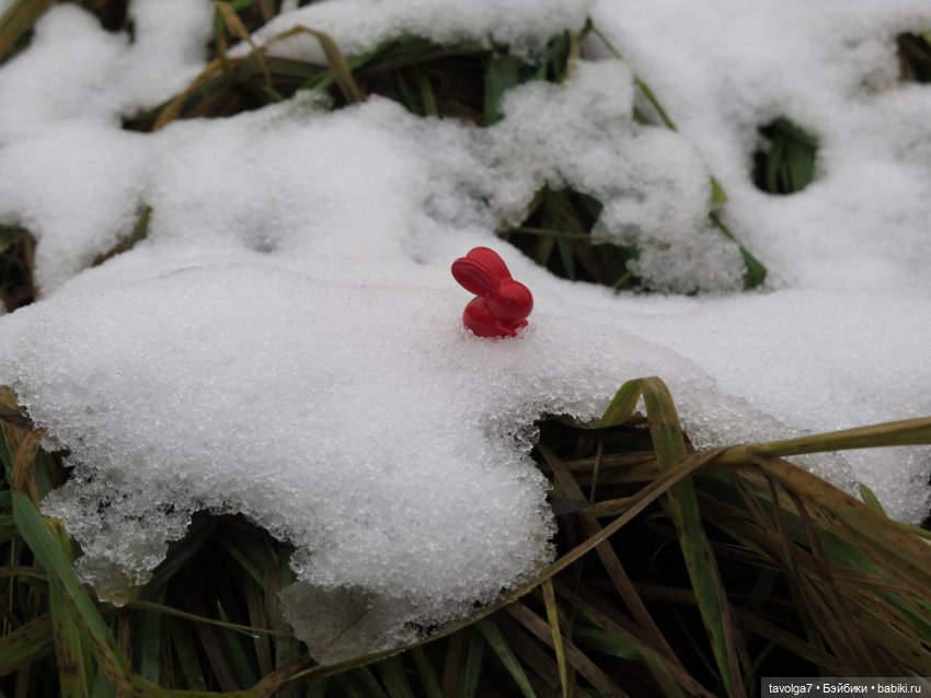 Little Apple Dolls в ноябрьском лесу