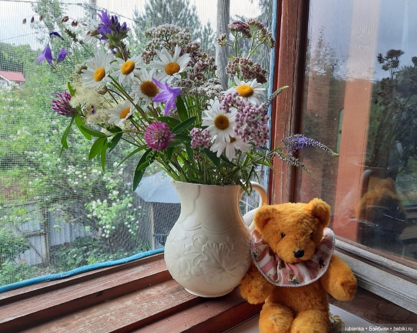 Лето ушло давно - зато осталось в фото🌷🦋🐞🌞