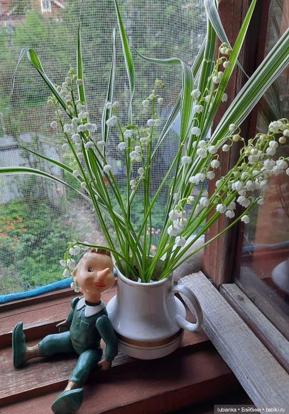 Лето ушло давно - зато осталось в фото🌷🦋🐞🌞 (фото 2)