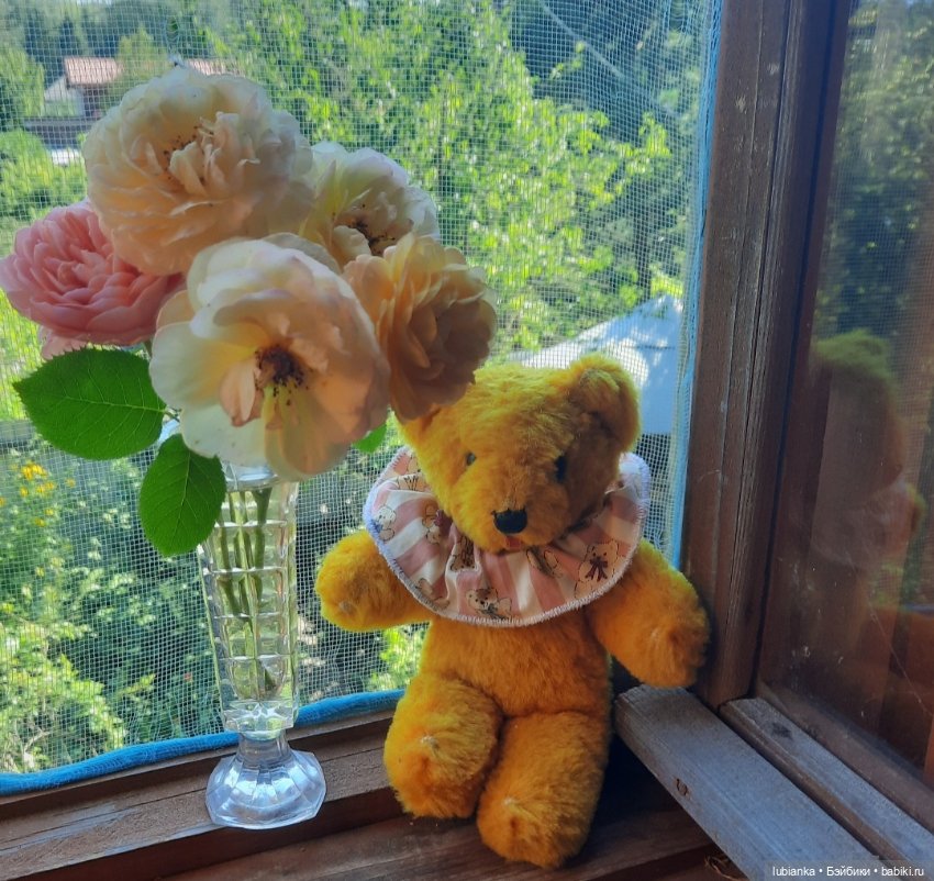 Лето ушло давно - зато осталось в фото🌷🦋🐞🌞