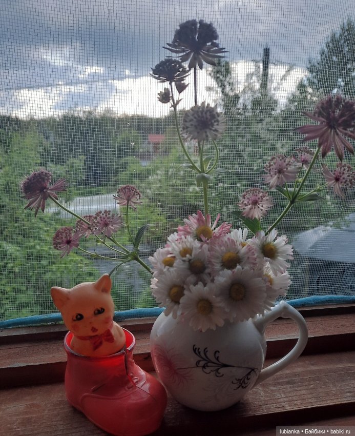 Лето ушло давно - зато осталось в фото🌷🦋🐞🌞 (фото 4)