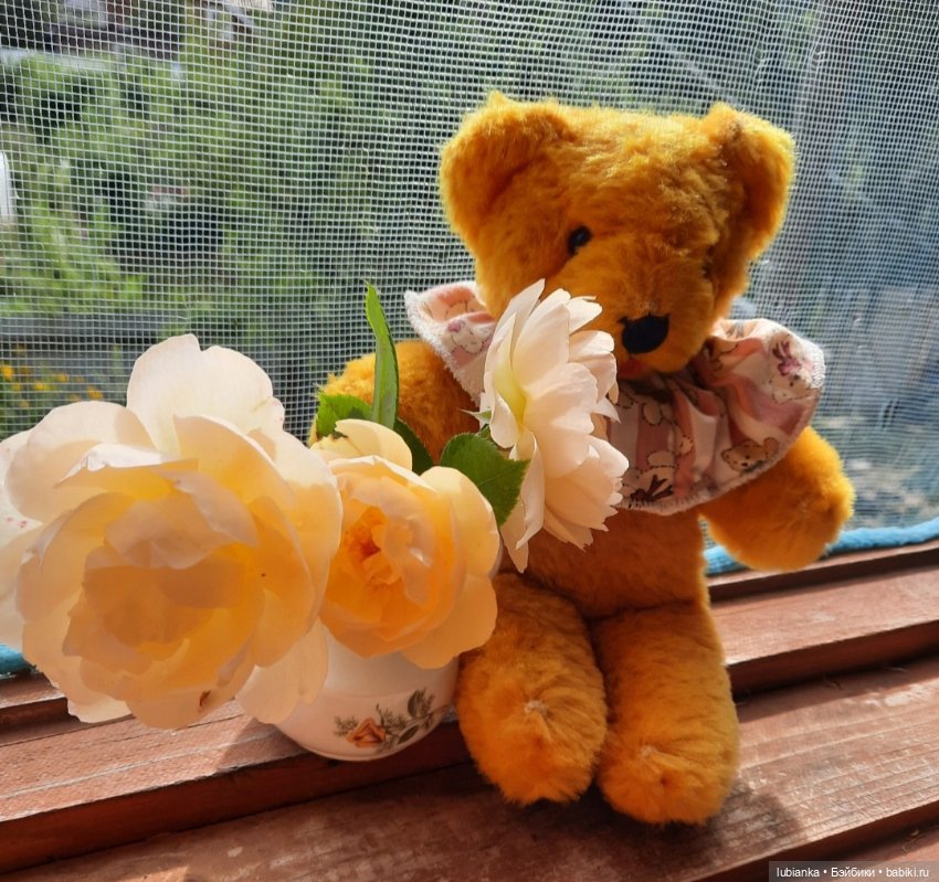 Лето ушло давно - зато осталось в фото🌷🦋🐞🌞