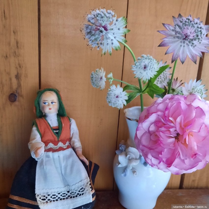 Лето ушло давно - зато осталось в фото🌷🦋🐞🌞