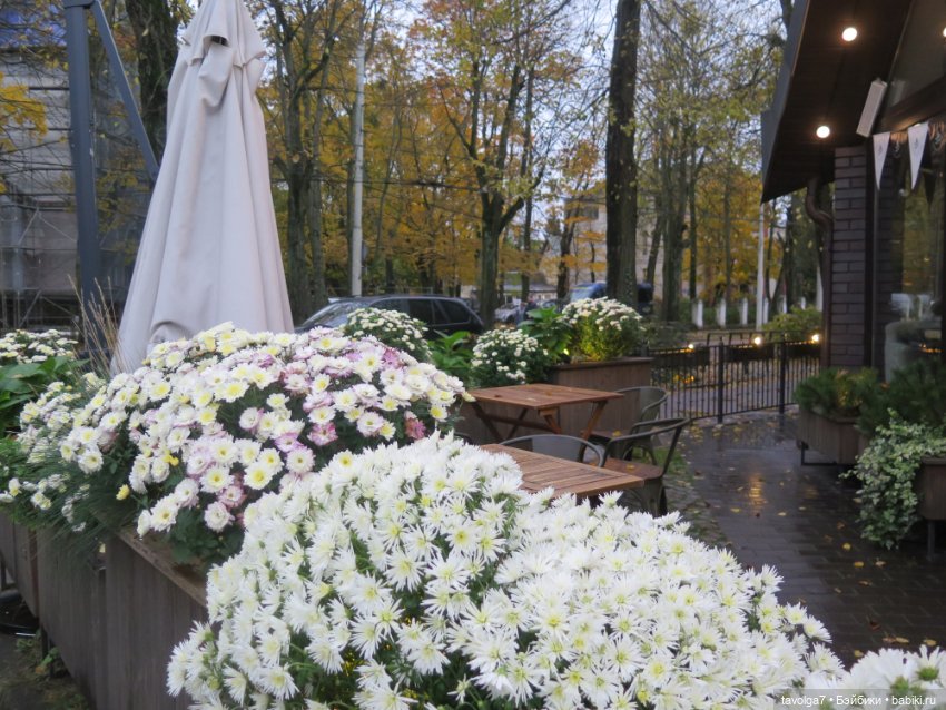 Новая "немочка" в моей коллекции и в Калининграде (фото 7)