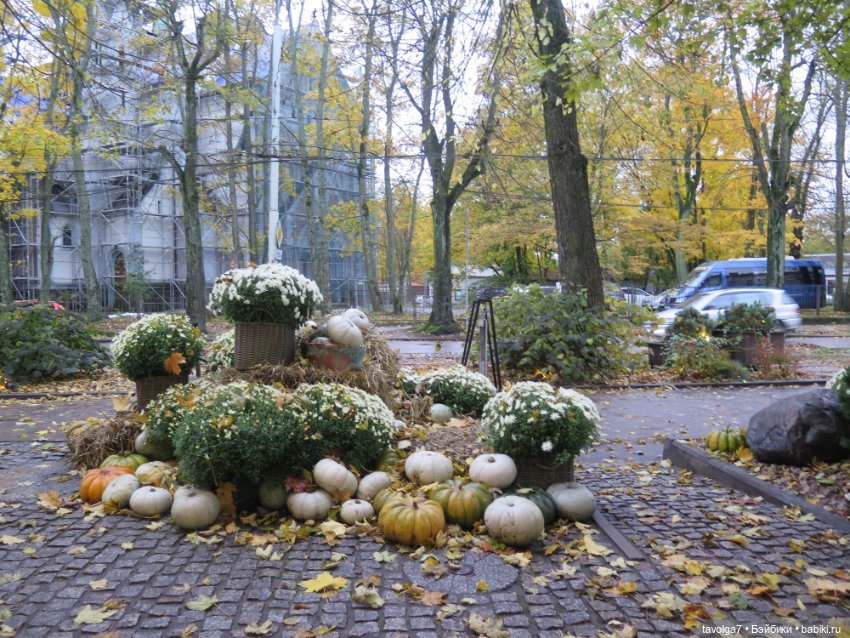 Новая "немочка" в моей коллекции и в Калининграде (фото 4)