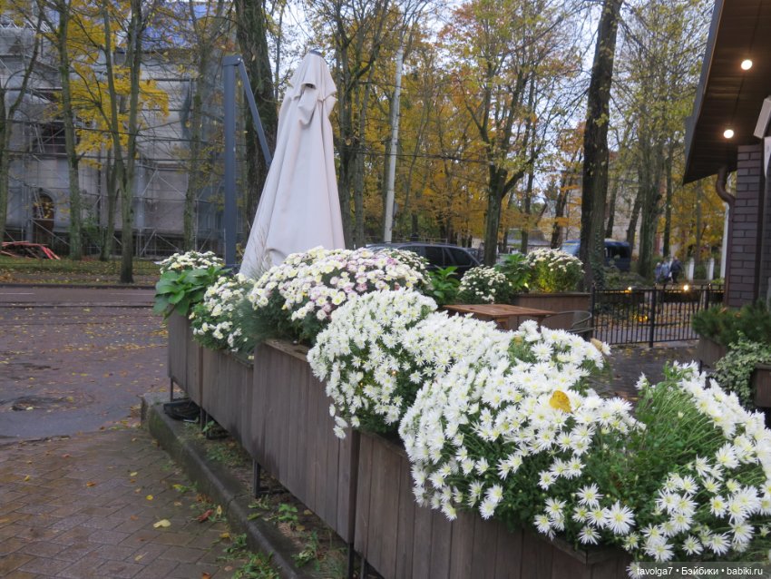 Новая "немочка" в моей коллекции и в Калининграде (фото 8)