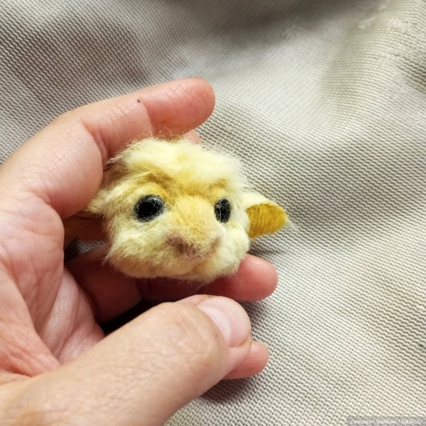 Новенький солнечный малыш Фалькор