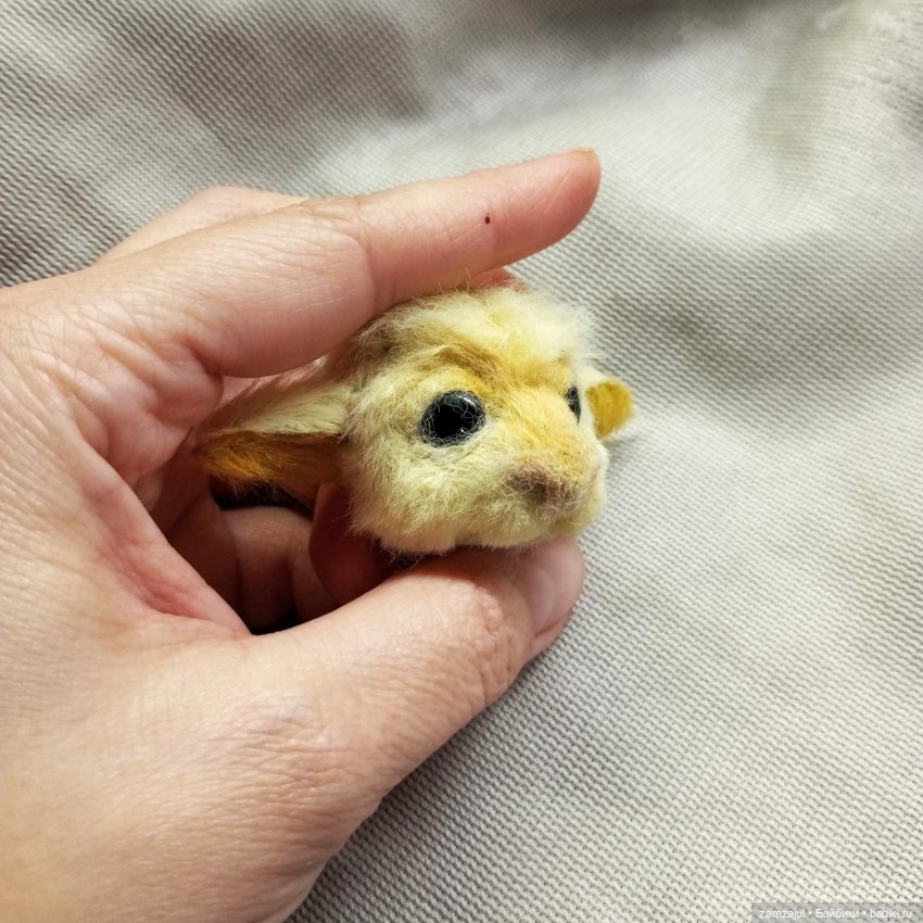 Новенький солнечный малыш Фалькор (фото 3)