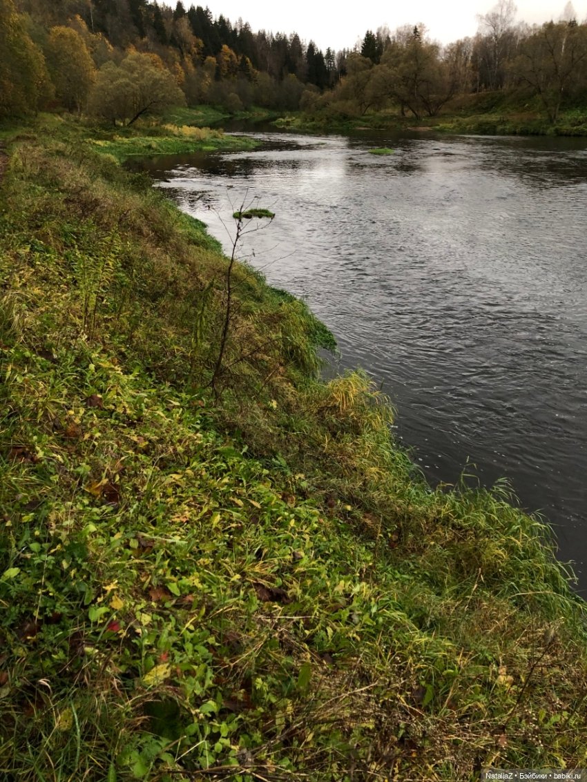 Сонная лощина — Куклы Ruby Red (Руби Ред) Fashion Friends: Siblies (фото 7)