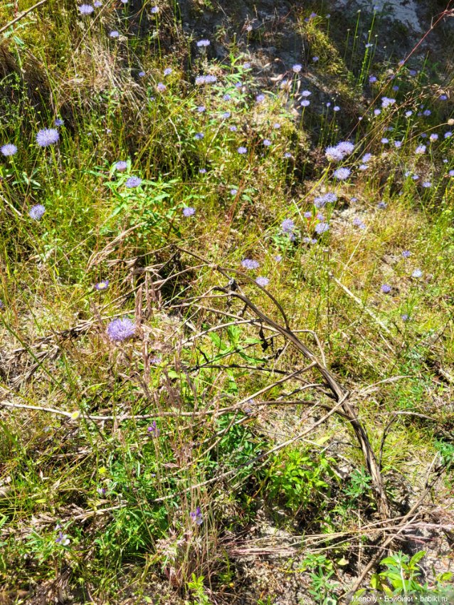 Вспоминая лето — Мягкие игровые и текстильные куклы: тряпичные