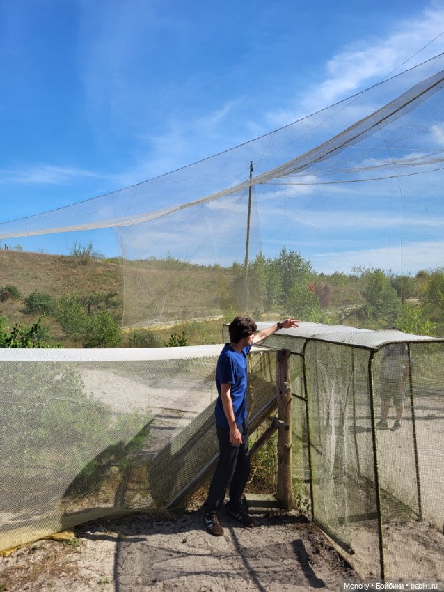 Вспоминая лето — Мягкие игровые и текстильные куклы: тряпичные