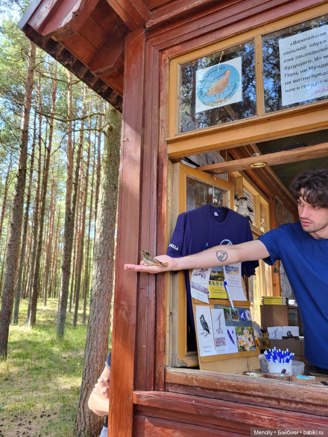 Вспоминая лето — Мягкие игровые и текстильные куклы: тряпичные