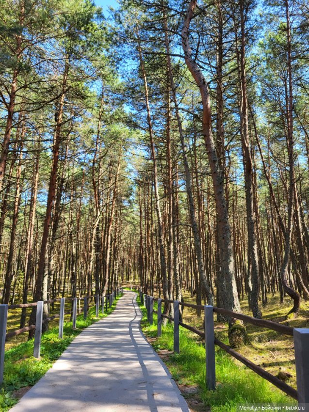 Вспоминая лето — Мягкие игровые и текстильные куклы: тряпичные