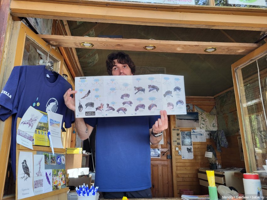 Вспоминая лето — Мягкие игровые и текстильные куклы: тряпичные