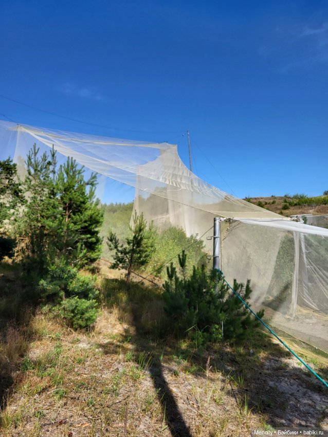 Вспоминая лето — Мягкие игровые и текстильные куклы: тряпичные