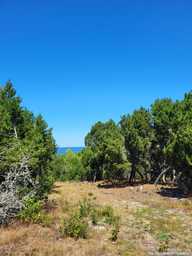 Вспоминая лето — Мягкие игровые и текстильные куклы: тряпичные