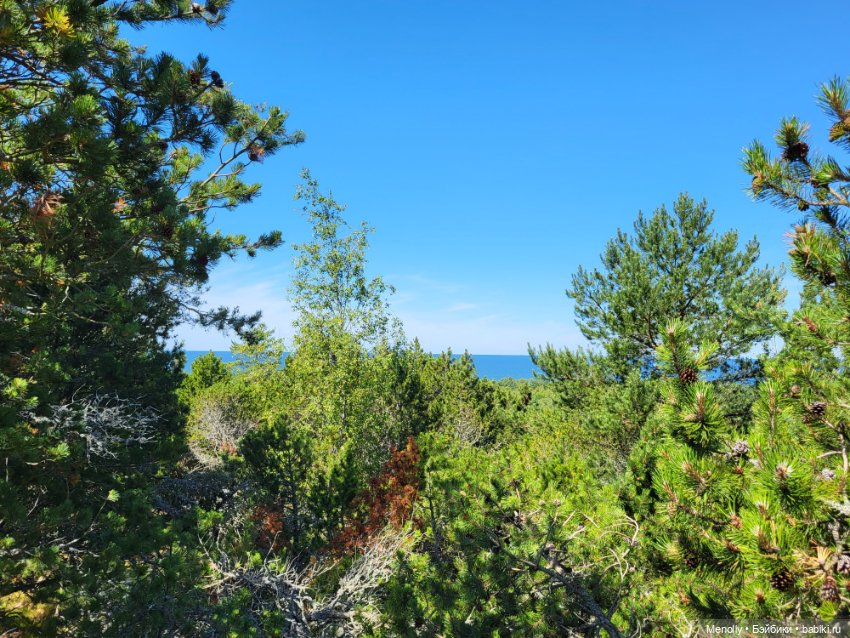 Вспоминая лето — Мягкие игровые и текстильные куклы: тряпичные