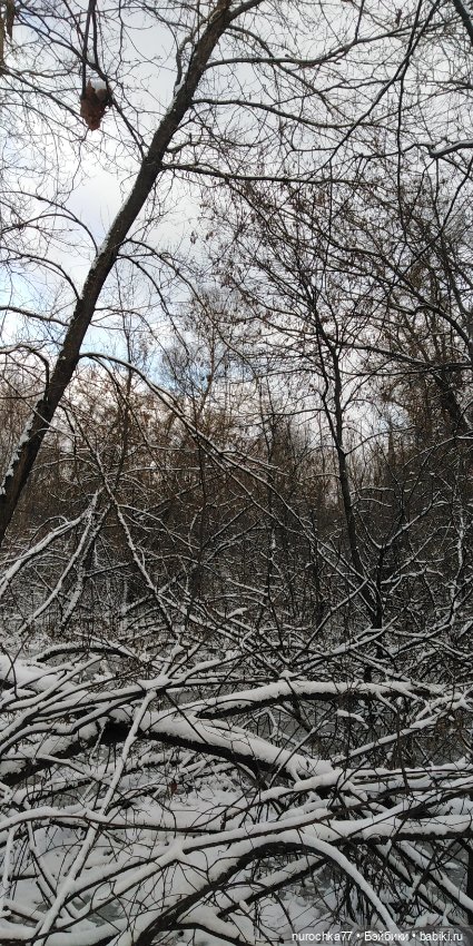 Мадемуазель Жаклин. Француженка