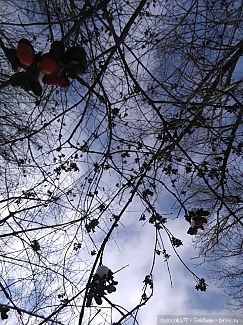 Мадемуазель Жаклин. Француженка