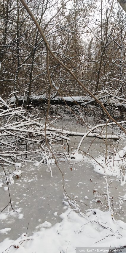 Мадемуазель Жаклин. Француженка (фото 9)