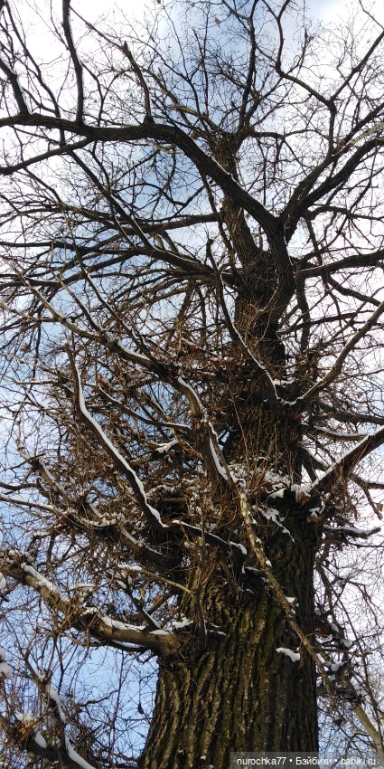 Мадемуазель Жаклин. Француженка