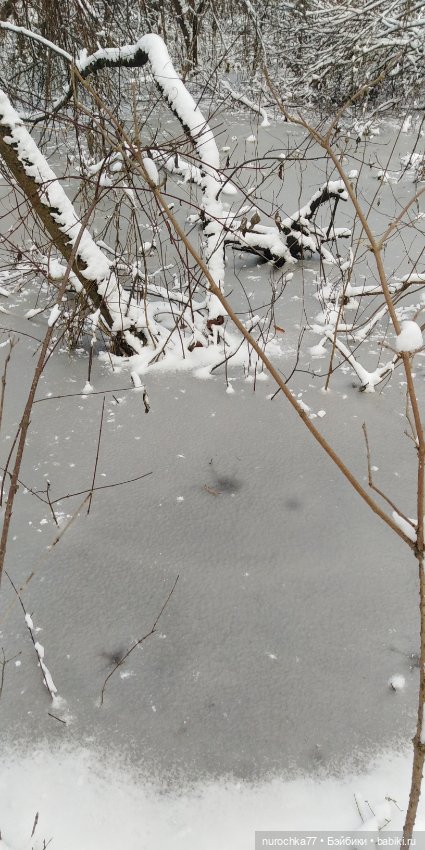 Мадемуазель Жаклин. Француженка