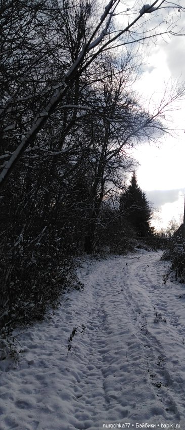 Мадемуазель Жаклин. Француженка