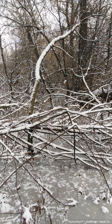 Мадемуазель Жаклин. Француженка