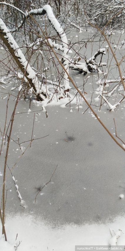 Мадемуазель Жаклин. Француженка