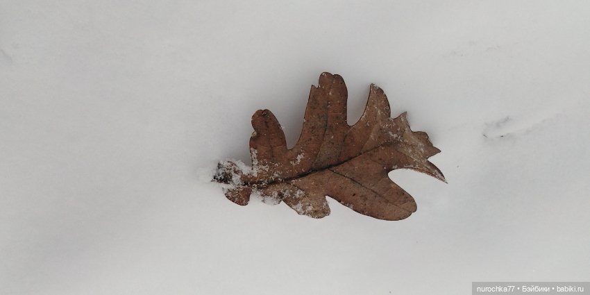 Мадемуазель Жаклин. Француженка (фото 3)