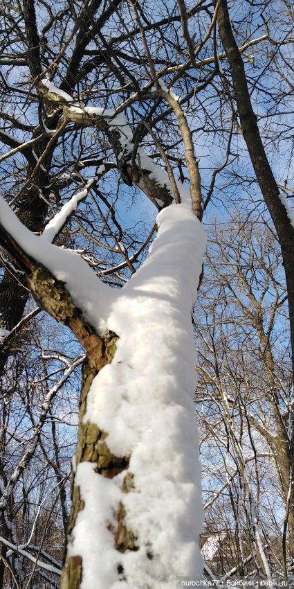 Мадемуазель Жаклин. Француженка