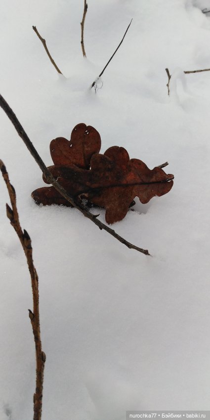 Мадемуазель Жаклин. Француженка