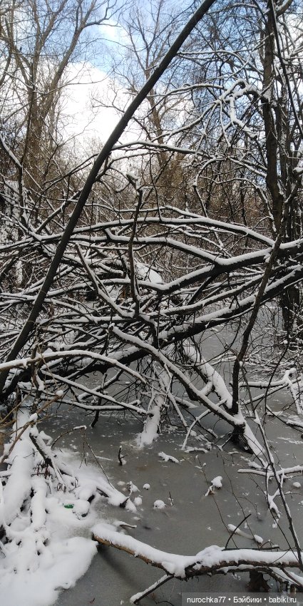 Мадемуазель Жаклин. Француженка