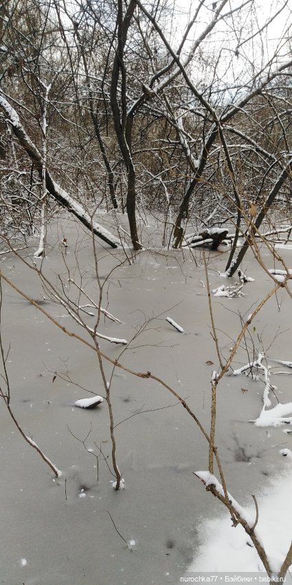 Мадемуазель Жаклин. Француженка