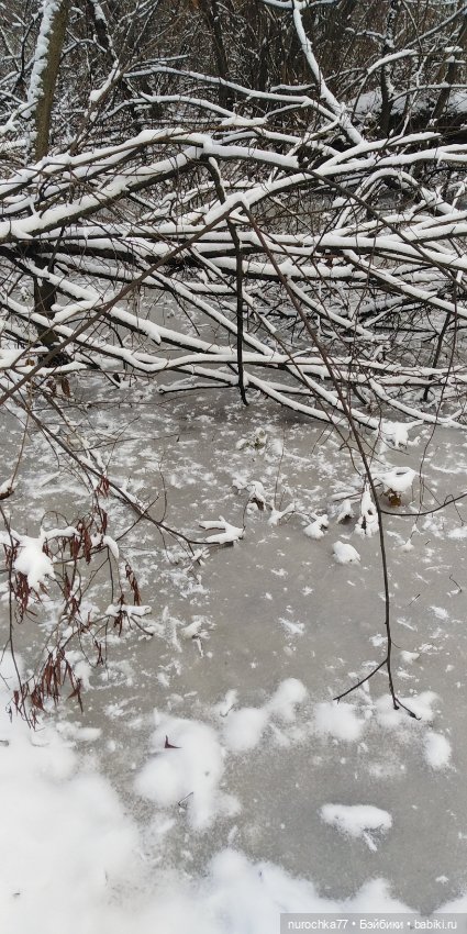 Мадемуазель Жаклин. Француженка (фото 5)