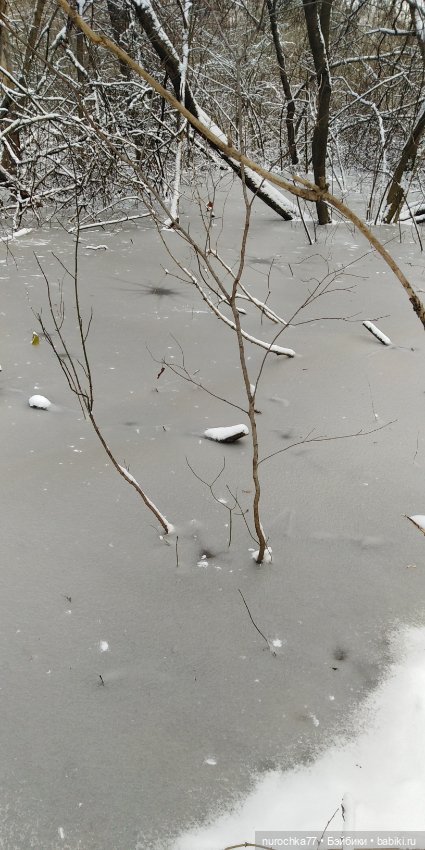 Мадемуазель Жаклин. Француженка