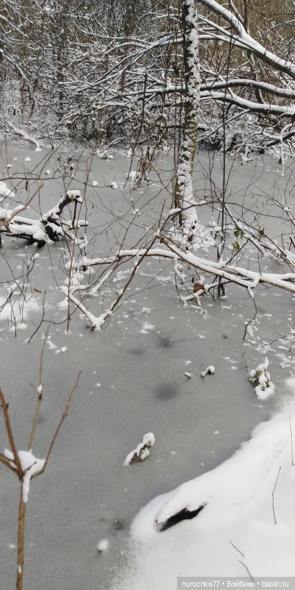 Мадемуазель Жаклин. Француженка