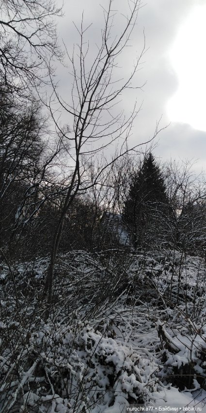 Мадемуазель Жаклин. Француженка