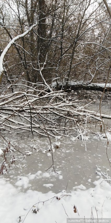Мадемуазель Жаклин. Француженка