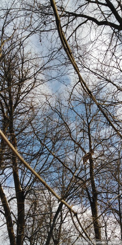 Мадемуазель Жаклин. Француженка