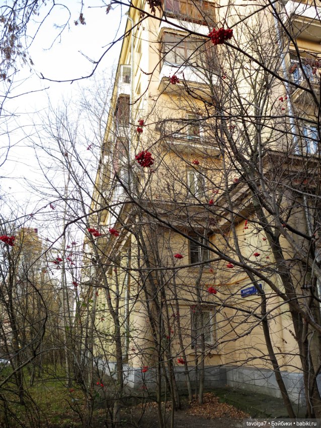 Ноябрьский закат — Куклы Liv (Лив) Spin Master: сменные парики (фото 7)