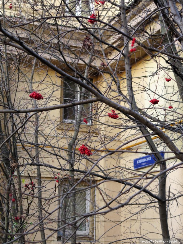 Ноябрьский закат — Куклы Liv (Лив) Spin Master: сменные парики (фото 8)