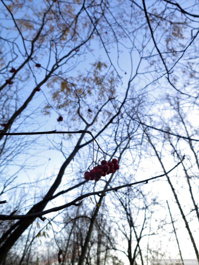 Ноябрьский закат — Куклы Liv (Лив) Spin Master: сменные парики (фото 5)