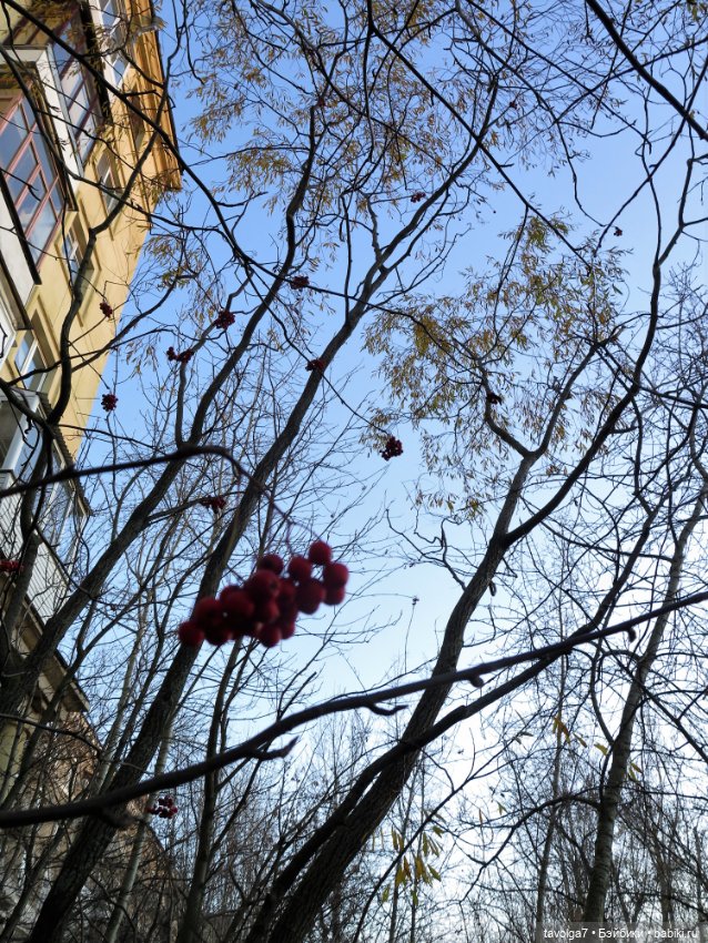 Ноябрьский закат — Куклы Liv (Лив) Spin Master: сменные парики (фото 4)