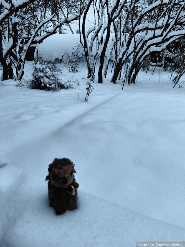 Музыкальная история 71 — Туризм и путешествия: фотоотчеты из поездок