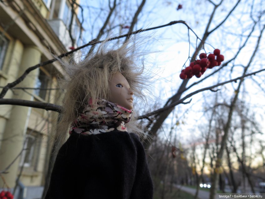 Солнечный ноябрь — Куклы Milim Studio (Милим): российские БЖД
