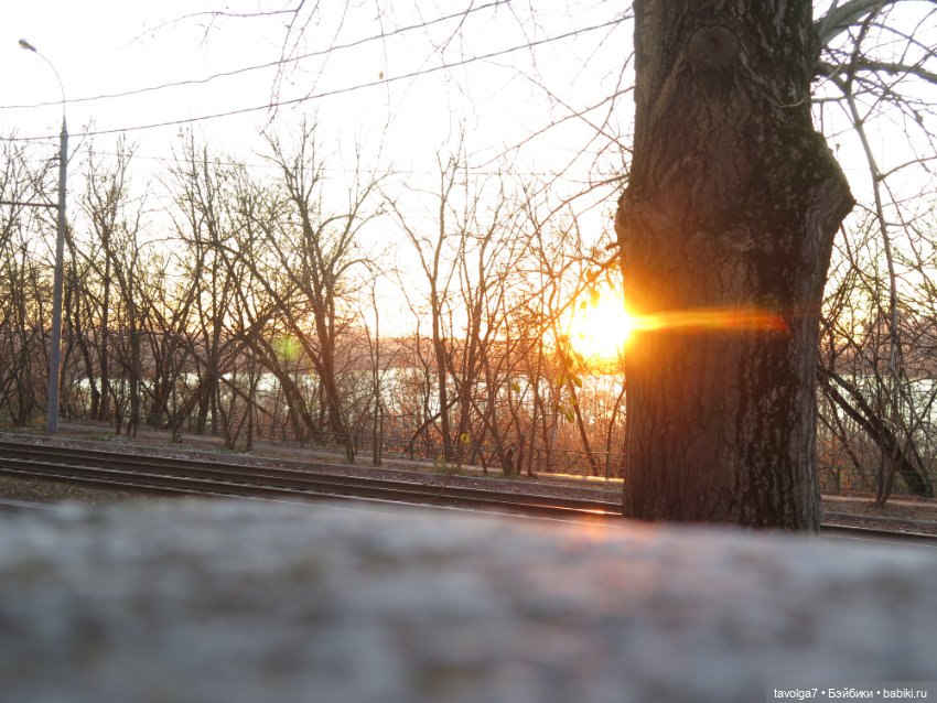 Солнечный ноябрь — Куклы Milim Studio (Милим): российские БЖД