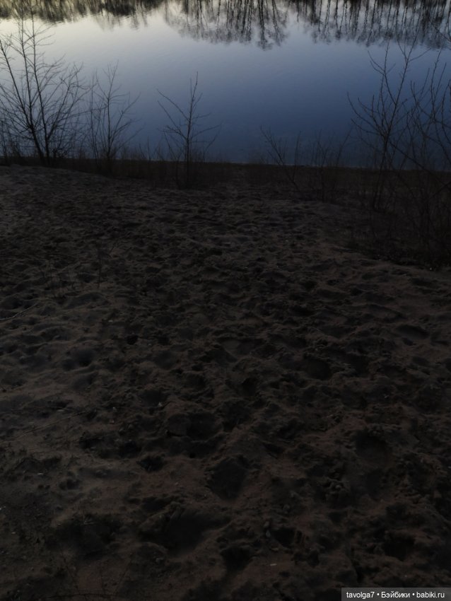 Ноябрьский закат — Куклы Liv (Лив) Spin Master: сменные парики