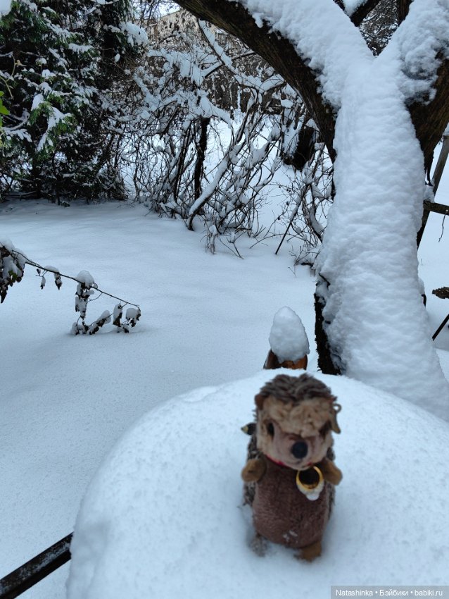 Музыкальная история 71 — Туризм и путешествия: фотоотчеты из поездок